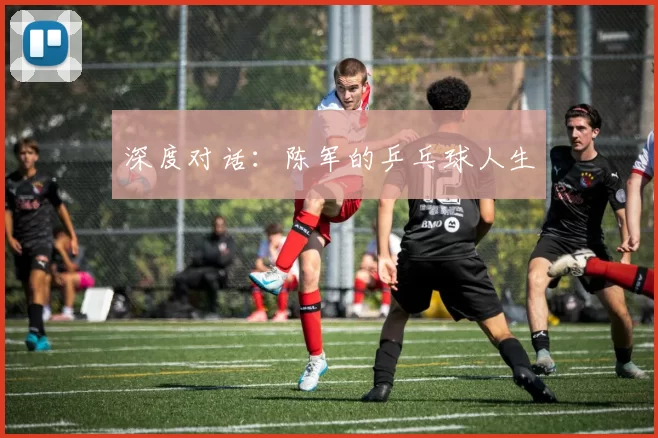 深度对话：陈军的乒乓球人生